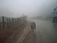 pict0305.jpg